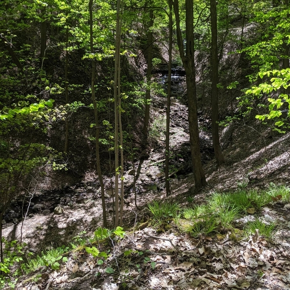 Make Me An Offer! - Picture 1 of 1